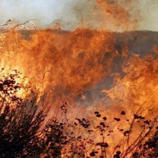 Foto di repertorio