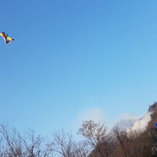 Foto e video Catia Ciccarelli