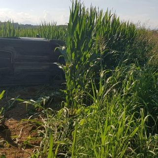 Incidente sulla SP21. Feriti soccorsi e portati in ospedale