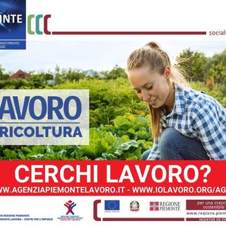 Coronavirus, &quot;Io Lavoro in Agricoltura&quot;. Iniziativa della regione Piemonte