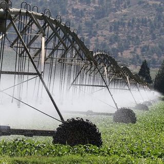 30 milioni per strutture irrigue, agricole e di bonifica: aperto il bando per gli investimenti in Piemonte.