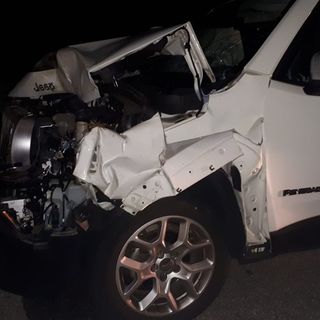 Jeep investe un cervo di 200 chili. L'animale è stato abbattuto a seguito delle ferite riportate FOTO