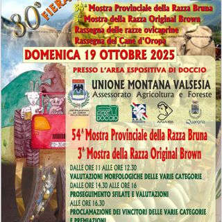 Agnona–Doccio festeggia i 30 anni della Fiera: un grande evento tra tradizione, allevamento e giovani agricoltori