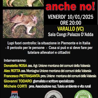 Incontro in Valsesia: &quot;Convivere con il lupo? Anche no&quot;