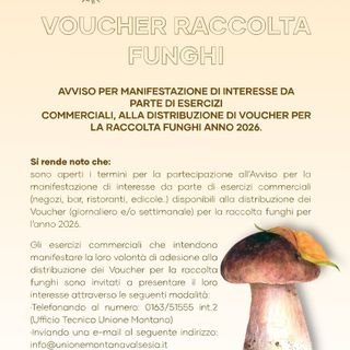 Voucher funghi 2026, l’Unione Montana dei Comuni della Valsesia cerca esercizi disponibili alla distribuzione