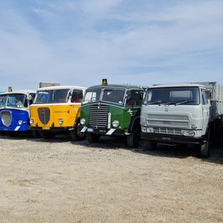 Collezione Marazzato, una festa per gli appassionati del marchio Alfa Romeo. Al porte aperte oltre 500 i visitatori