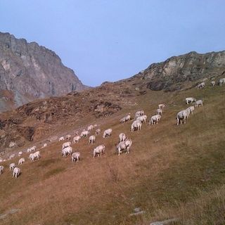 Poca pioggia e poca neve a gennaio 2019 in Piemonte: precipitazioni inferiori dell'84% rispetto alla media degli anni 1971-2000