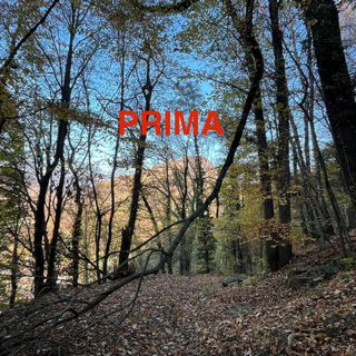 La squadra Aib di Quarona ripulisce la mulattiera di Valmaggiore: un esempio di impegno per il territorio