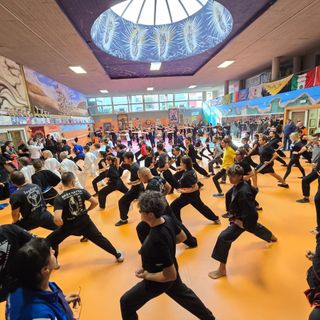 Multistage kung fu a Vercelli