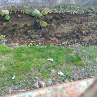 Quarona, vandalizzata la mostra dedicata alle Madri Costituenti