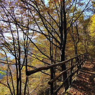 Sentieri tra Campello Monti, Rimella e il Vallone di Roj: finanziato il progetto di ripristino nella Valsesia