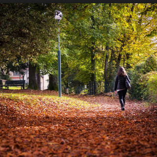 Borgosesia, parco Magni: In arrivo il bando 2022-2027