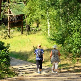 Fobello: Al via un nuovo Servizio di Noleggio bici e attrezzatura per escursioni