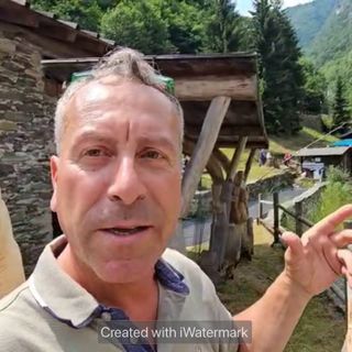 Marco Schena, lo scultore del bosco