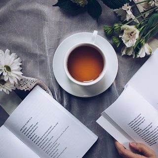 Da Stoccolma a Vercelli: inaugurazione del Festival di poesia civile  mercoledì con il premio alla carriera a Jesper Svenbro