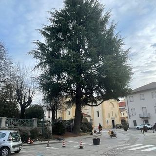 Potature e nuove piante: Borgosesia punta sul verde