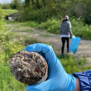 Quarona, volontari in azione per ripulire le sponde del Sesia - FOTO