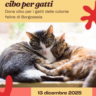 Un Cuore Caldo per i Mici di Borgosesia: Grande Raccolta Cibo al Conad