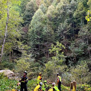Cercatore di funghi disperso trovato dai soccorritori e condotto in Ospedale