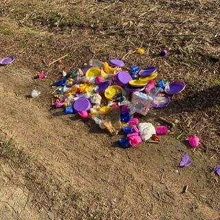 I resti di una festa abbandonati in mezzo alla natura a Ghemme