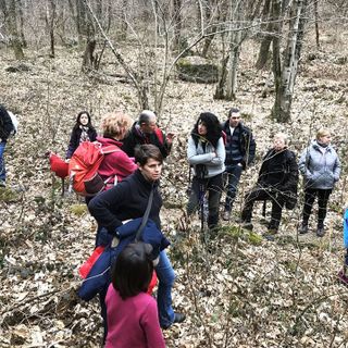 Il "sabba dei rospi" sabato al laghetto di Sant'Agostino di Quarona