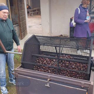 Castagnea e le sue Castagne piace ai visitatori (foto e video di M. Benedetti per newsbiella.it)