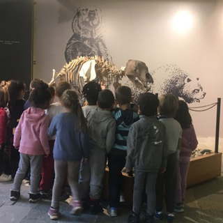 &quot;Siete pronti a fotografare Orso delle caverne e Uomo di Neanderthal?&quot;