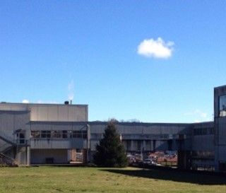 Concorso Personaggi valsesiani, al primo posto la terza Legno della Scuola Barolo