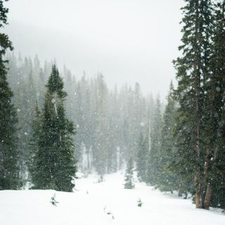 Neve e pioggia: allerta arancione e pericolo valanghe 4 su 5