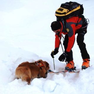 Valanghe: allerta distacchi, il Soccorso Alpino richiama alla massima prudenza
