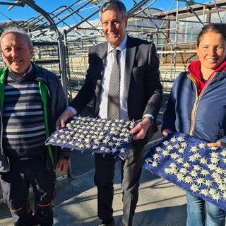 Regione, dal Piemonte stelle alpine per il papa. Icardi esprime riconoscenza: “Messaggio di forte impatto ecologico”.