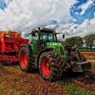 Sviluppo rurale 2023-2027 del Piemonte, presto le domande per il “pacchetto giovani”.