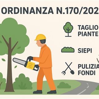 Varallo, ordinanza per la manutenzione di piante e siepi lungo le strade comunali