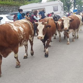 Foto Fighera e Coltro