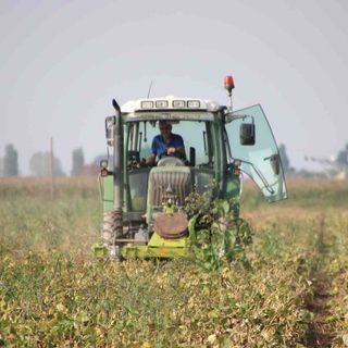 Carburanti agricoli: Confagricoltura chiede di rivedere il sistema delle assegnazioni
