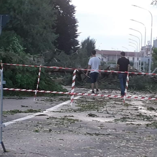 Vercellese devastato dal maltempo: chiesto lo stato d'emergenza