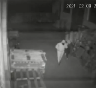 Così la banda assaltava i magazzini di alcolici e prodotti ittici: 100mila euro il bottino - VIDEO