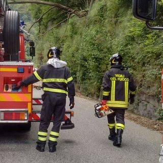 Ondata di maltempo a Valdilana, pali inclinati e piante sulle strade: Vigili del Fuoco in azione nella notte