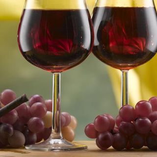 Gattinara e Polito presentano il progeytto iXem Wine per i vigneti del paese