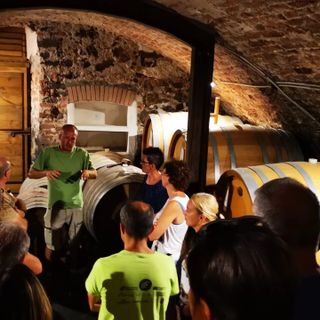 Degustazione con visita a vigne in Valsessera, ricco programma in cantiere per la Pro Loco Ailoche FOTO