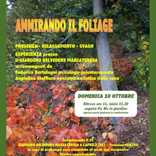 Caprile, un’esperienza risanante nel paesaggio autunnale