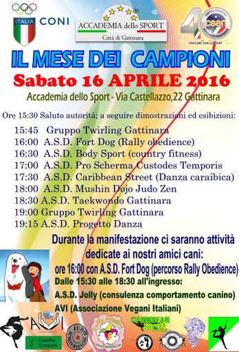 Gattinara: Evento "Il mese dei campioni" Gattinara: Evento "Il mese dei campioni"