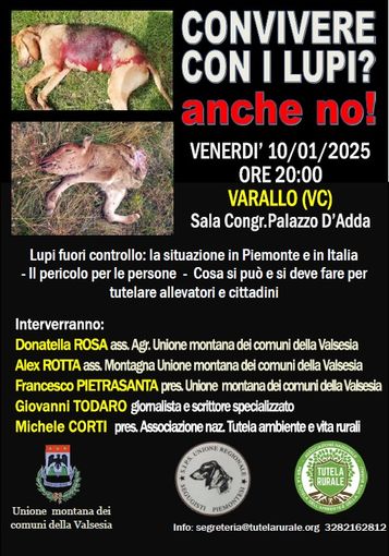 Incontro in Valsesia: "Convivere con il lupo? Anche no" Incontro in Valsesia: "Convivere con il lupo? Anche no"