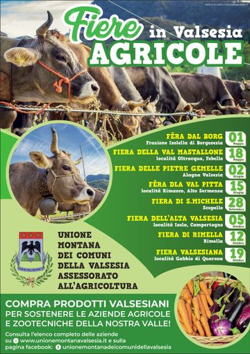 Valsesia: Fiere zootecniche del 2025 Valsesia: Fiere zootecniche del 2025