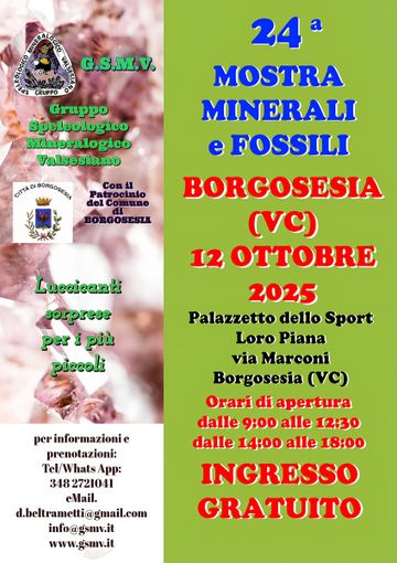 A Borgosesia la 24ª Mostra di Mineralogia del Gruppo Speleologico Valsesiano