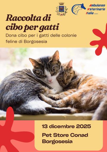 Un Cuore Caldo per i Mici di Borgosesia: Grande Raccolta Cibo al Conad Un Cuore Caldo per i Mici di Borgosesia: Grande Raccolta Cibo al Conad