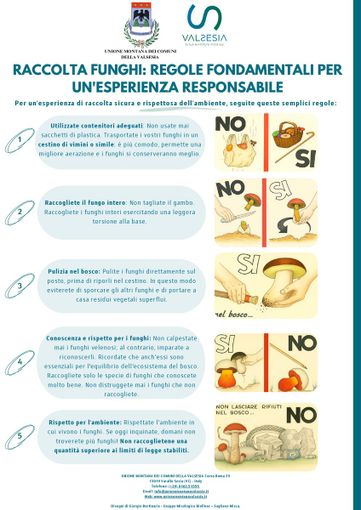 Unione Montana Valsesia: il vademecum per raccogliere funghi in sicurezza e nel rispetto dell'ambiente
