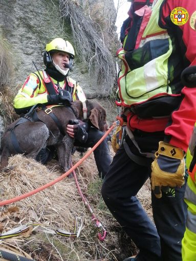 Cane bloccato su una cengia al Mottarone da due giorni. Salvato dal Soccorso Alpino e Vigili del Fuoco Cane bloccato su una cengia al Mottarone da due giorni. Salvato dal Soccorso Alpino e Vigili del Fuoco