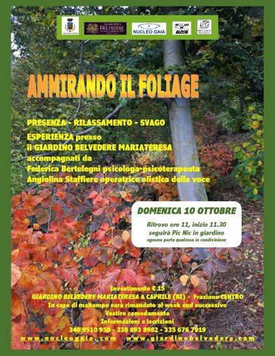 Caprile, un’esperienza risanante nel paesaggio autunnale Caprile, un’esperienza risanante nel paesaggio autunnale