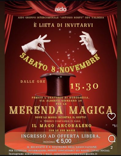 Borgosesia, un pomeriggio di magia e solidarietà con AIDO Valsesia